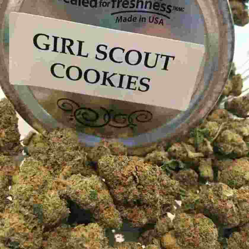 girls scout cookies