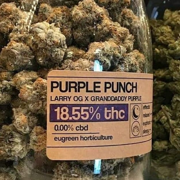 Purple punch