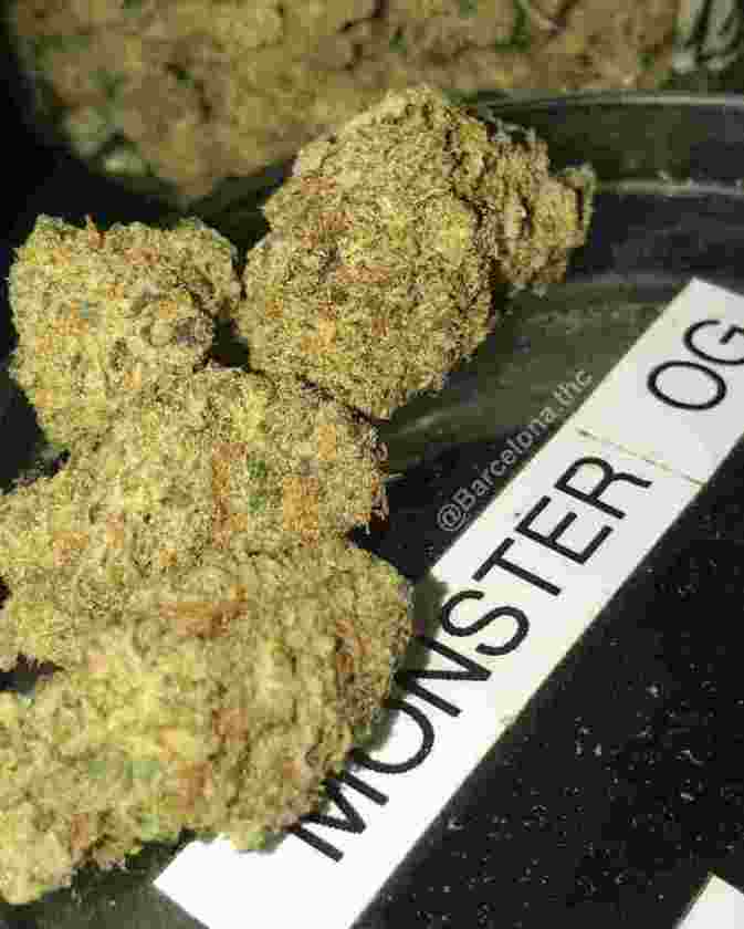 Master kush