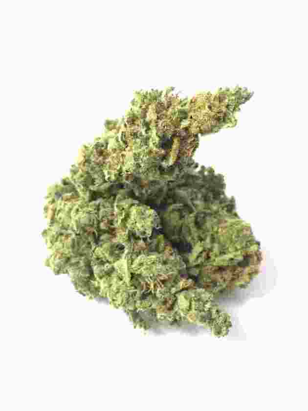 Blue Jane