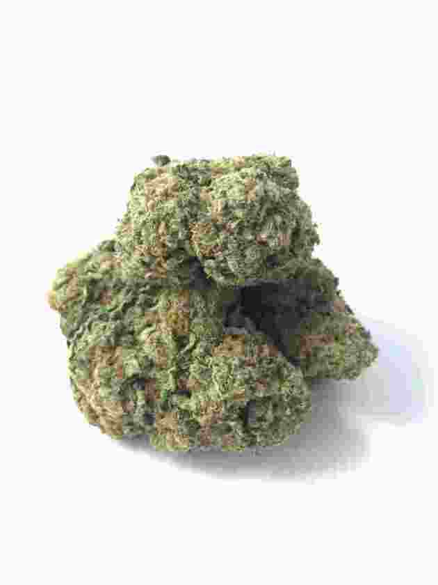 Beethoven kush