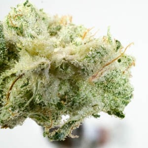 Gorilla glue